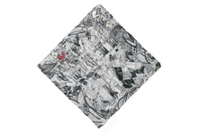 Load image into Gallery viewer, Backstreet Boys Silk Chiffon Scarf (Medium)